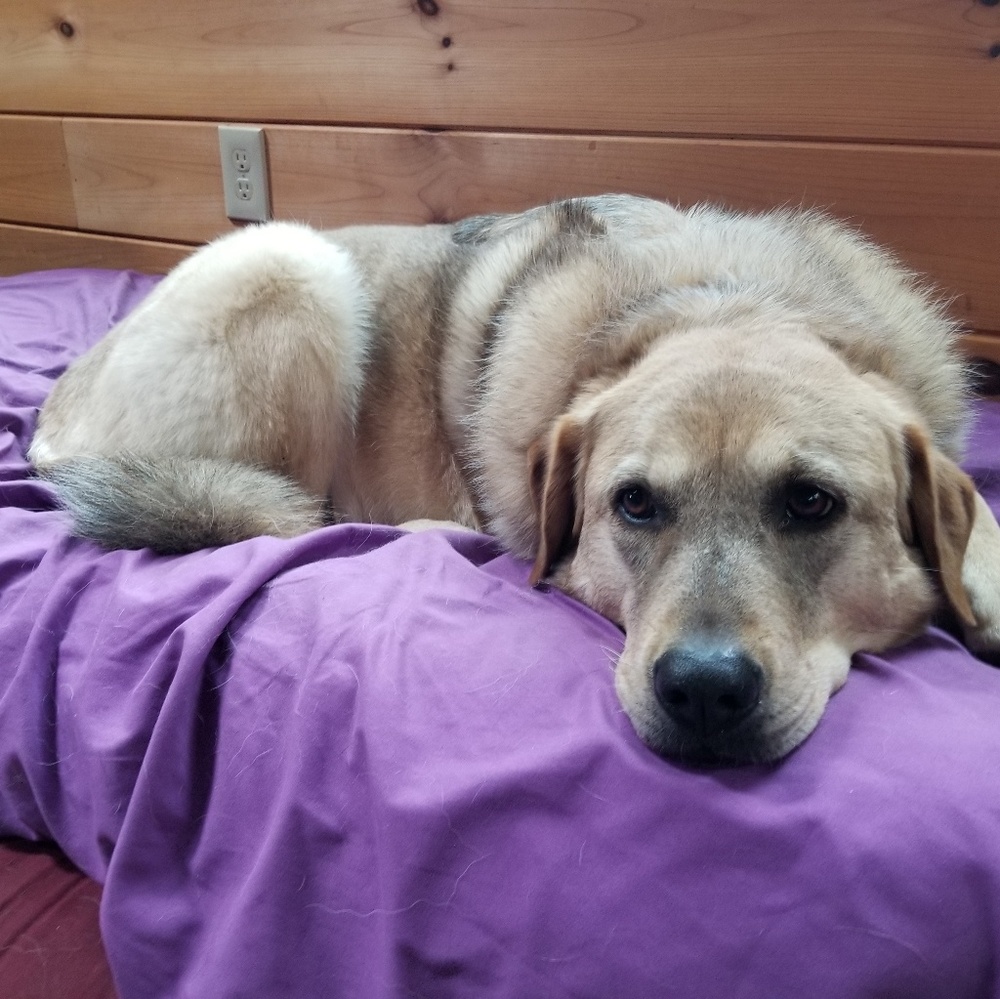 Meet your Posher, Miranda